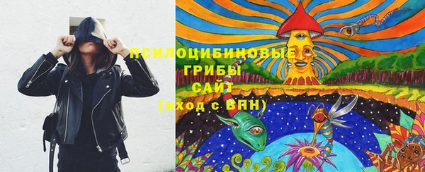 mdpv Белокуриха